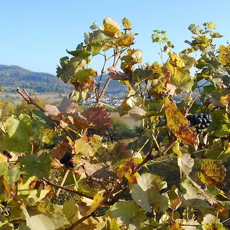 Appartamento Luxus Loft Ideal Europa Park, Strassburg Und Schwarzwald