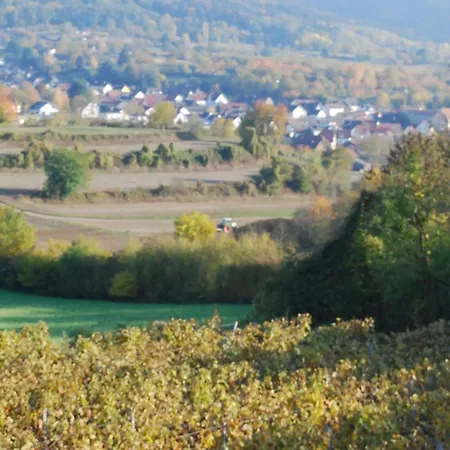 Luxus Loft Ideal Europa Park, Strassburg Und Schwarzwald Appartement