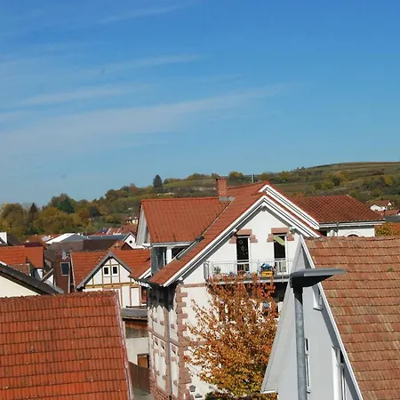 Luxus Loft Ideal Europa Park, Strassburg Und Schwarzwald Apartamento