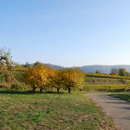 Luxus Loft Ideal Europa Park, Strassburg Und Schwarzwald Appartamento