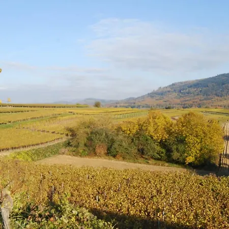 Luxus Loft Ideal Europa Park, Strassburg Und Schwarzwald * Friesenheim (Baden-Wurttemberg)