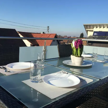 Luxus Loft Ideal Europa Park, Strassburg Und Schwarzwald Apartman Friesenheim